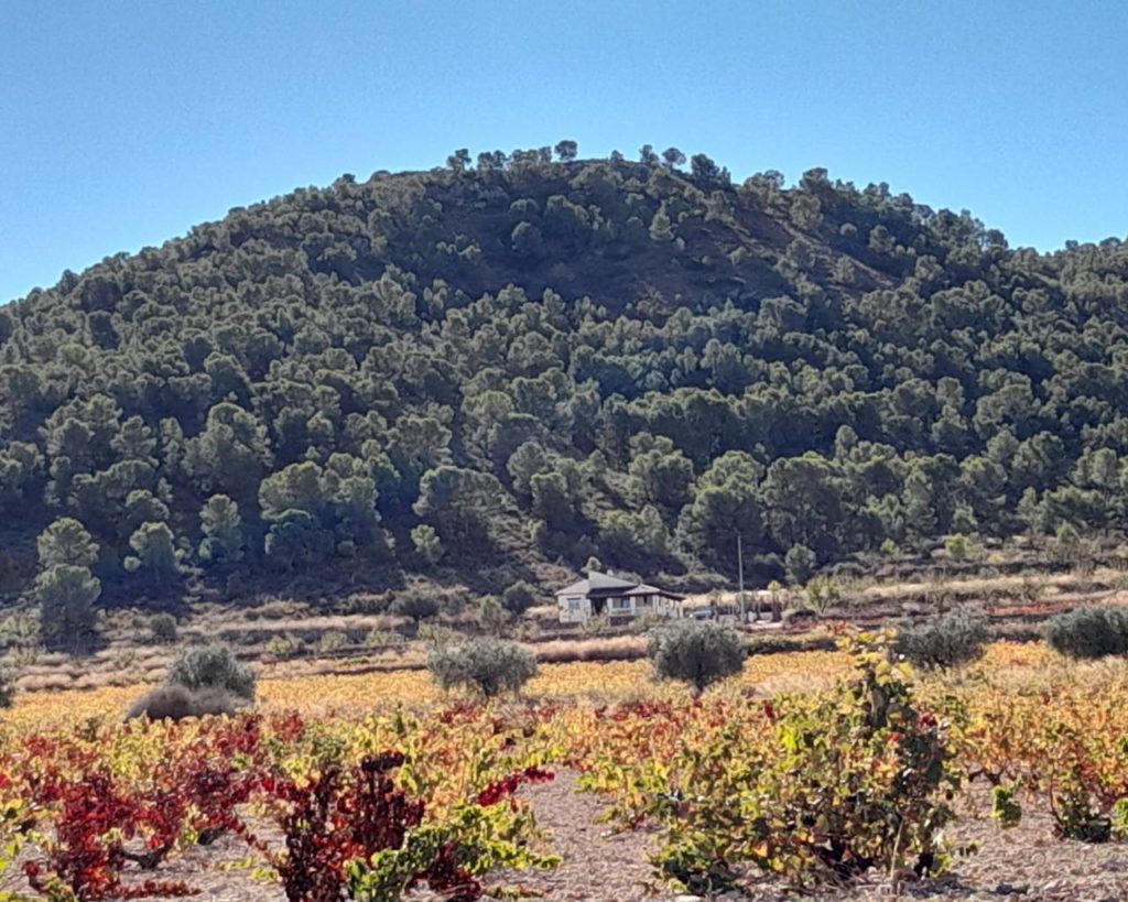 Property for sale in Canada de la Lena Casabien Inland Villas