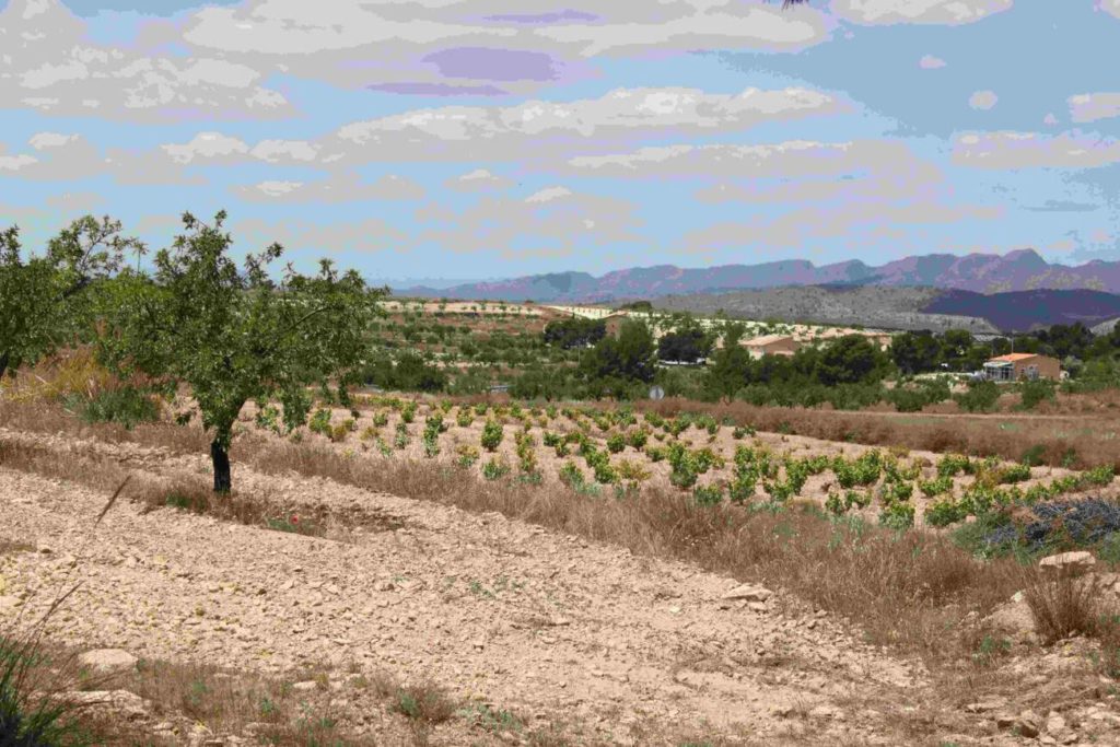 Property for sale in La Zarza Casabien Inland Villas